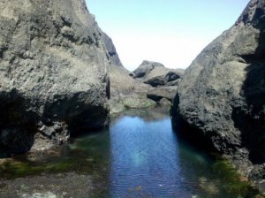 bigwhaletidepool1.jpg bigwhaletidepool1.jpg