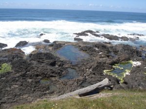 capeperpetuatidepools1.JPG