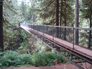 driftcreekfallsbridge1.JPG