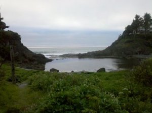 littlewhalecove1.jpg