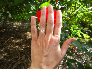 IMG_4468_hand.png