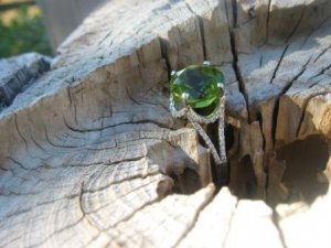 MAC-W Peridot Garden #1.JPG