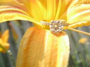 LR Flower Pic.JPG