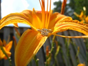 LR Lily Pic 2.JPG