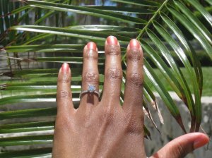 LR Palm Frond Pic.JPG