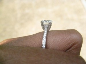 LR Shank Side Pic.JPG