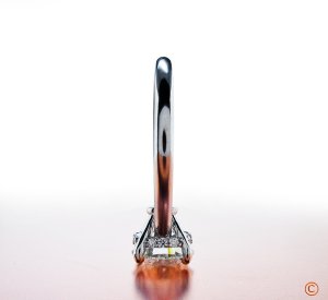 BrianGavin_4Prong1b_060110.jpg