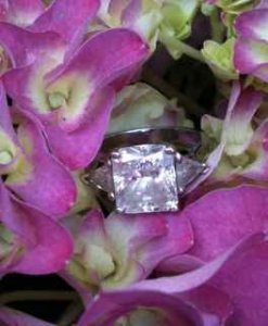 radiantpinkflower45.jpg