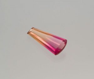 feat_bicolor_topaz1.jpg