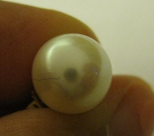 PPstud5mm.jpg