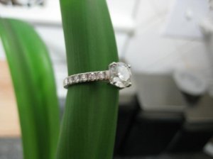 DHRing9 Leaf 2 071510.JPG