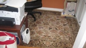 office.JPG