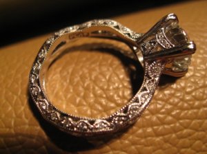 IMG_5370.JPG
