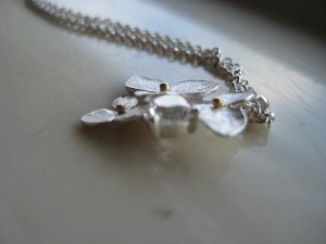 IMG7252.jpg