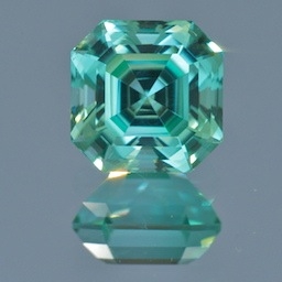 GeneMint tourm.jpg