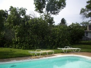 100_10341.jpg