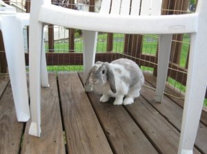 hannah outside.jpg