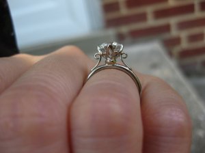IMG_1752.JPG IMG_1752.JPG