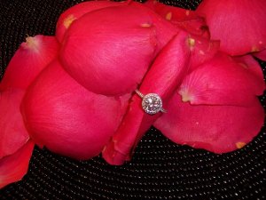 ringpetals1607.jpg