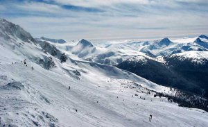 topblackcomb.jpg