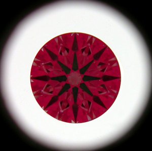 file2.jpg