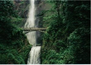 multnomah falls.jpg