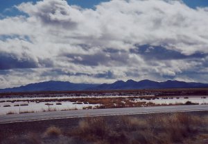 New Mexico 01 12062004.jpeg