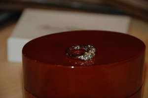 DSC_5379_2.jpg