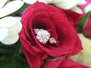 July 2010 009a.jpg