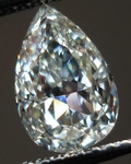 Pear.jpg
