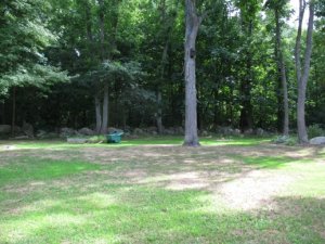 ncbackyard1.JPG