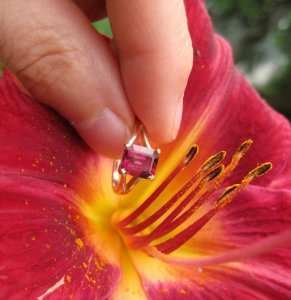 TangaFlower6964.jpg