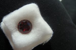 large round appearance some of the time.JPG