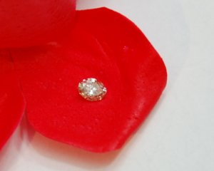 DSC_0062.JPG