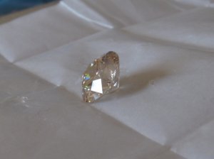 IMG_0055.jpg