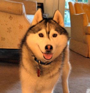 Play With Me Now.jpg