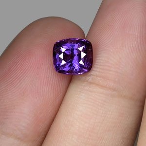 V-SPINEL505b.jpg V-SPINEL505b.jpg