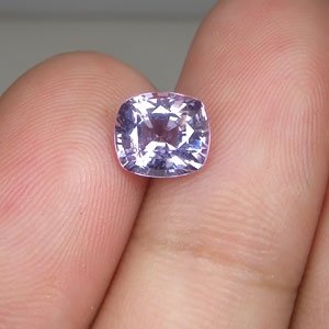 V-SPINEL514b.jpg