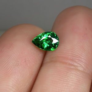 G-GARNET701b.jpg