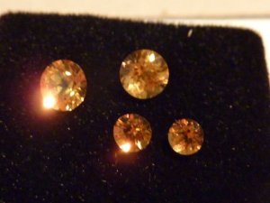 Mandarine Spess Aug 2010  1278.jpg