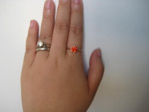 IMG_7456.JPG