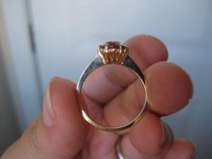 IMG_7465.JPG