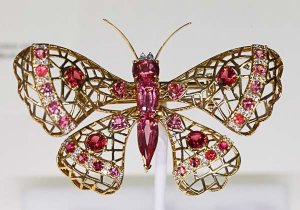 bfly1586c.jpg