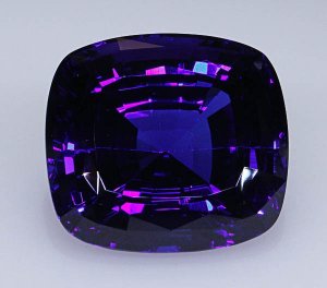 tanz1536c.jpg