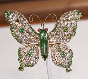 hiddbfly1601c.jpg