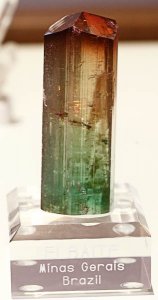 tourXTL1561c.jpg