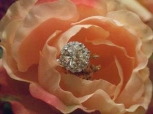Ring_flower close.JPG