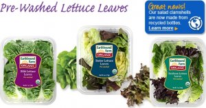 PrewashedLeaves_group.jpg