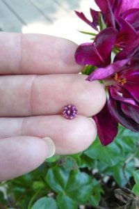 flowerlikecolor.jpg