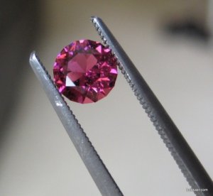9547750.jpg